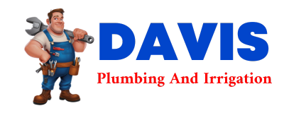 Trusted plumber in ROBINS